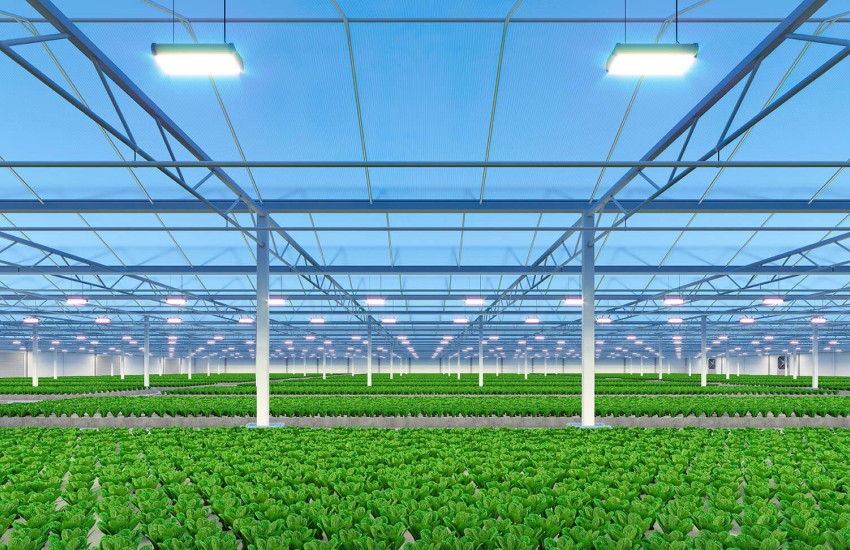 AdobeStock 410908671 v2